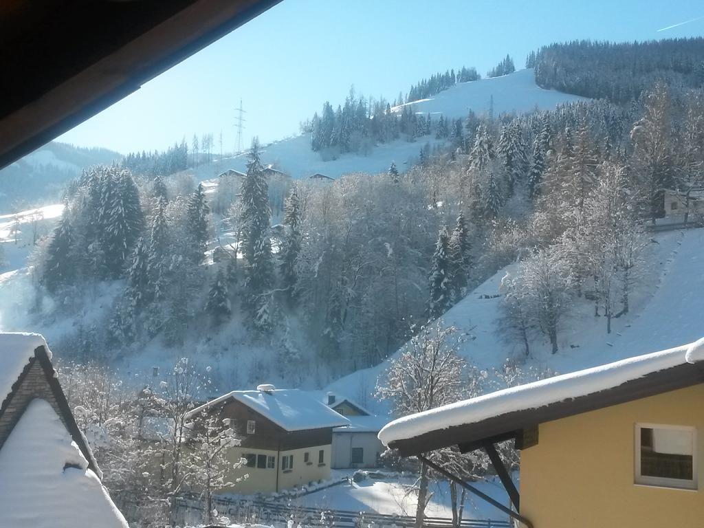 Haus Schneeberg Mit Hochkoenig Card Apartment มึลบาค อัม โฮคเคอนิก ภายนอก รูปภาพ