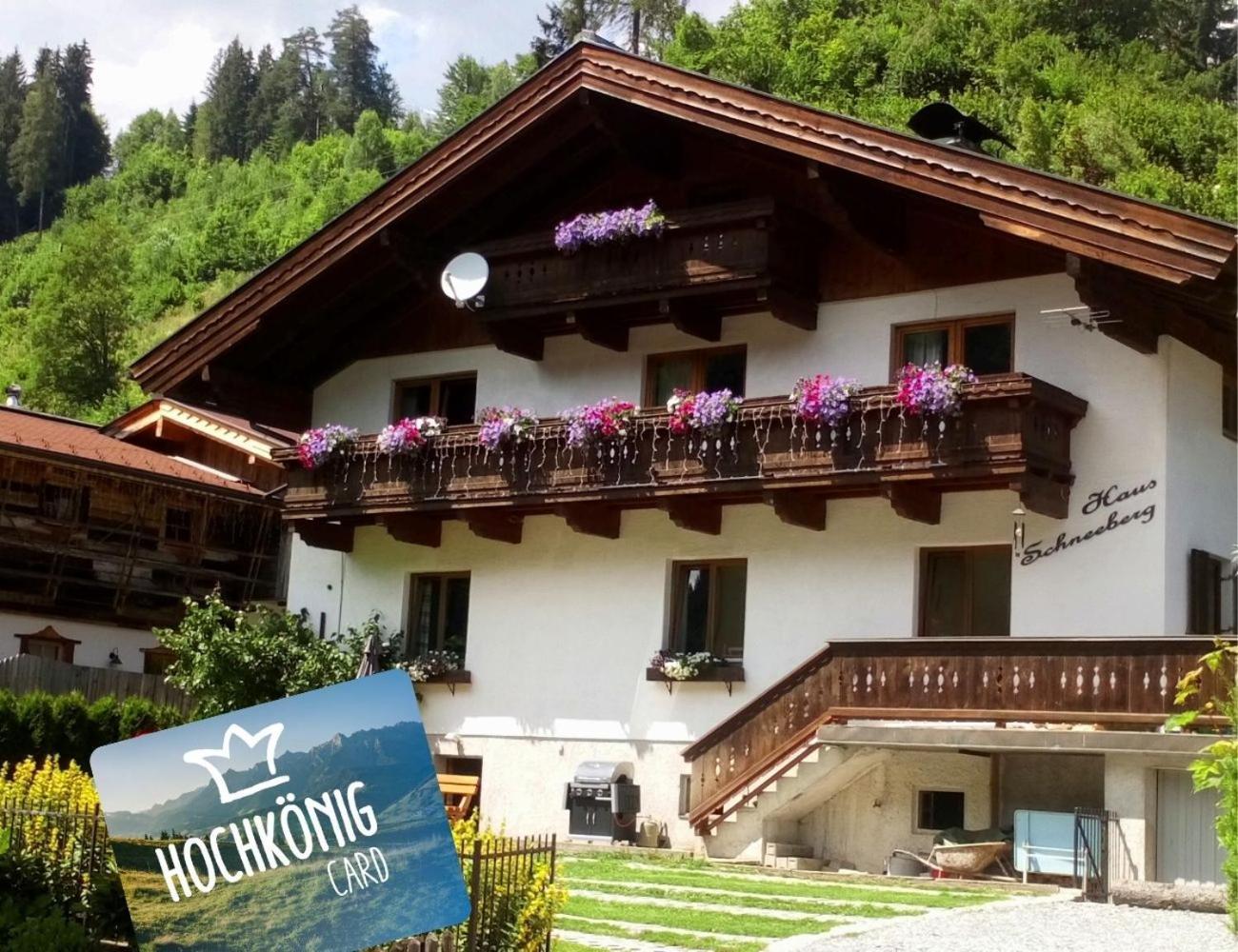 Haus Schneeberg Mit Hochkoenig Card Apartment มึลบาค อัม โฮคเคอนิก ภายนอก รูปภาพ